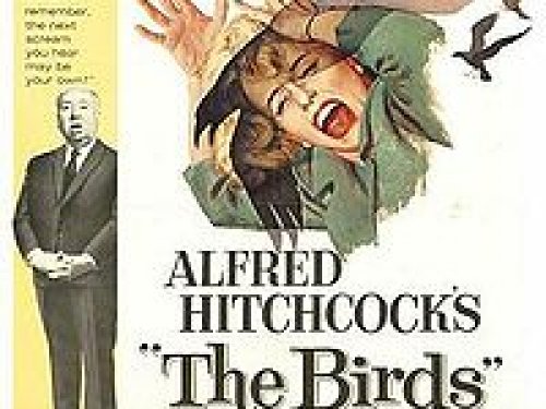 Madarak (The Birds - 1963)
